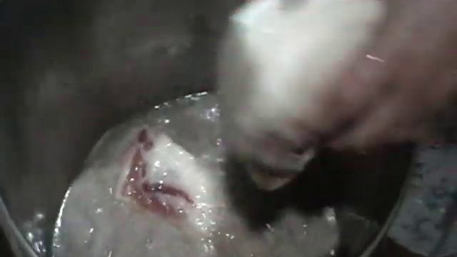 Хозяйство Елены Мороз г. Уфа солим шикарное сало смотреть онлайн