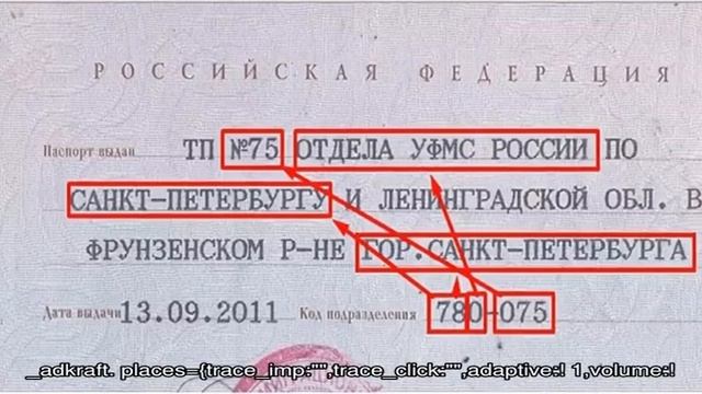 Документы РФ: паспорта и права