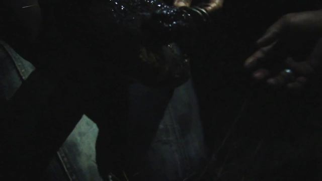 Венесуэла, Лос Льянос, ночная ловля крокодила смотреть онлайн