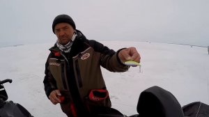 Судак на ратлины: что в коробке у чемпиона? Андрей Ферафонтов о секретах ловли судака на вибы зимой