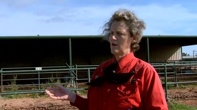 Animal Behavior With Temple Grandin - Part 1