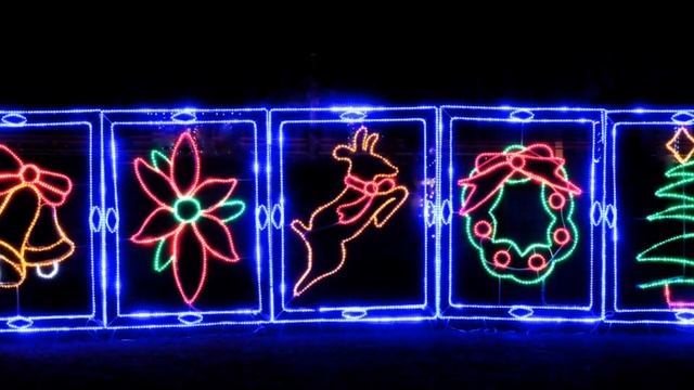 Festival Of Lights, Burlington Canada