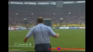 Голы Игнашевича