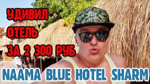 Naama Blue Hotel Sharm el sheikh - 1 серия. Заселение. Бессейн. Обед. Территория. Пляж. Naama Bay