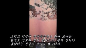 매일 한잔이면 눈과 귀가 밝아지고 내장지방과 암세포를 전멸시키는 초호화 영양덩어리