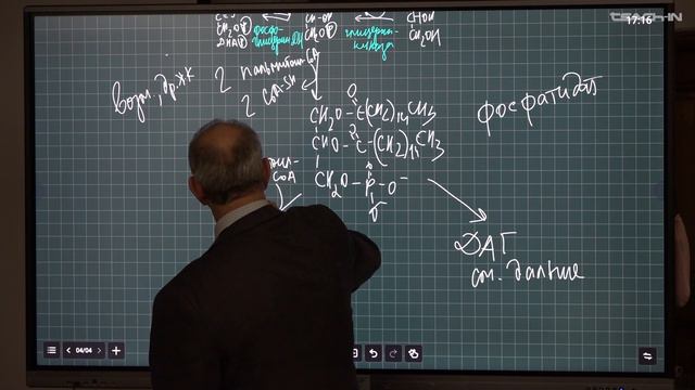 Гладилин А.К. - Биохимия - 11. Регуляция синтеза жк. Синтез ацилглицеридов смотреть онлайн