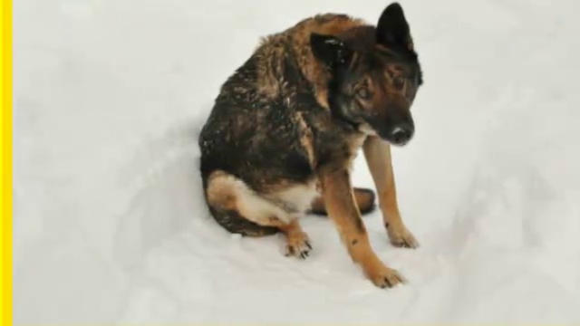 Энергетичный сдвиг. Видео из фото. смотреть онлайн