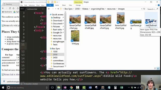 Organizing the Files for a Website смотреть онлайн