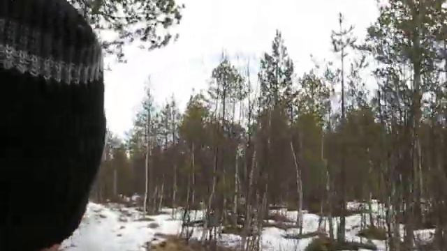 В Койгеру смотреть онлайн