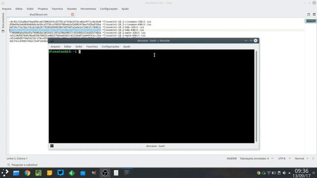 Como verificar soma MD5 e SHA256 no Linux