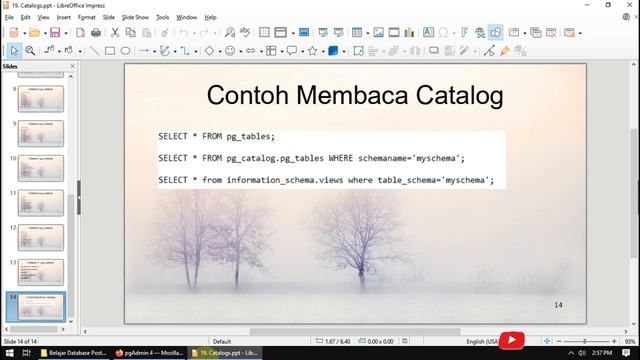 Belajar Database PostgreSQL 19 Catalogs смотреть онлайн