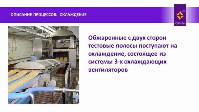 Блинная линия Becam Rotofur смотреть онлайн