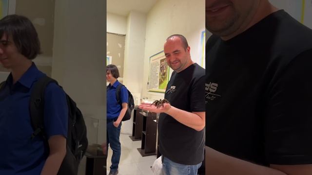 Взял тарантула в руки ?️ #арахнофобия #паук #тарантул