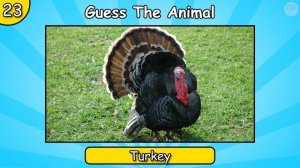 Guess The Animal From The Sound (Animal Quiz)