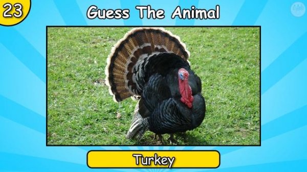 Guess The Animal From The Sound (Animal Quiz)