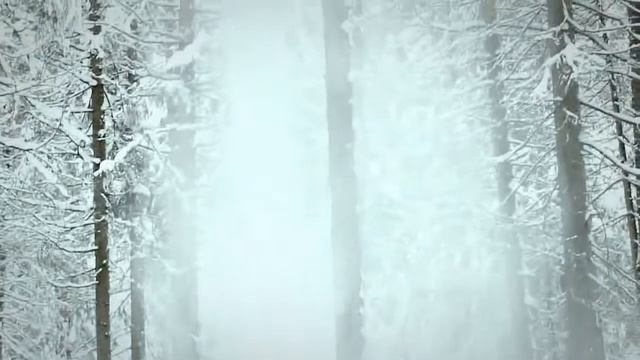 Ясные дни [by #FF] смотреть онлайн