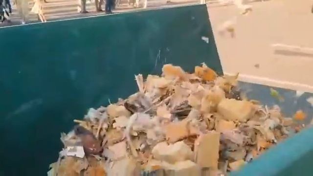 Автопробег "Чистая страна" в Ростове-на-Дону смотреть онлайн