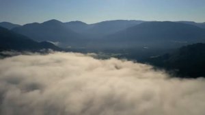 РАЗЖИЖЕНИЕ КРОВИ?КВАНТОВОЕ ИСЦЕЛЕНИЕ ОТ ПОВЫШЕНОЙ ВЯЗКОСТИ КРОВИ (МАТРИЦА ГАРЯЕВА)