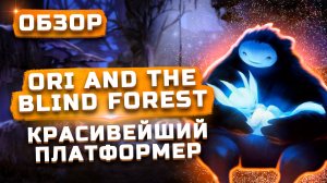 Красивейший платформер | Обзор Ori and the Blind Forest