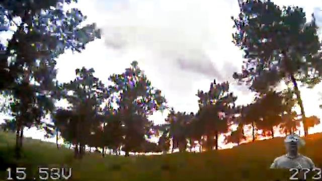 Вечер в сосновом лесу . смотреть онлайн