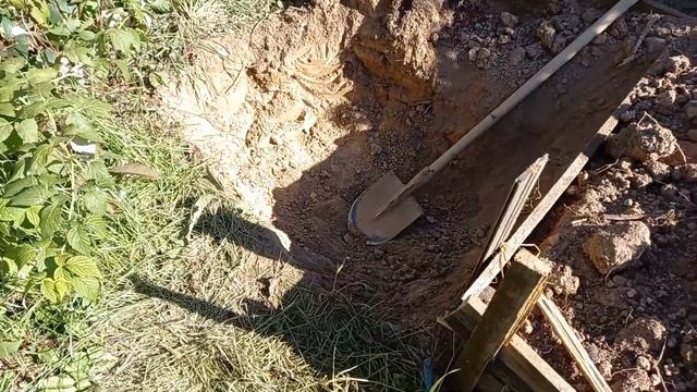 Отличный сорт поздних зимних яблок Поспех смотреть онлайн