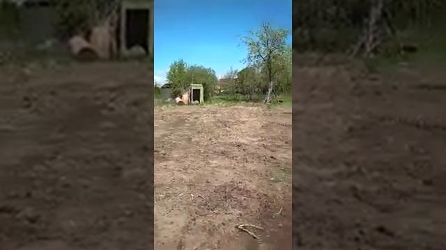 Как выравнил бульдозер  наш  участок