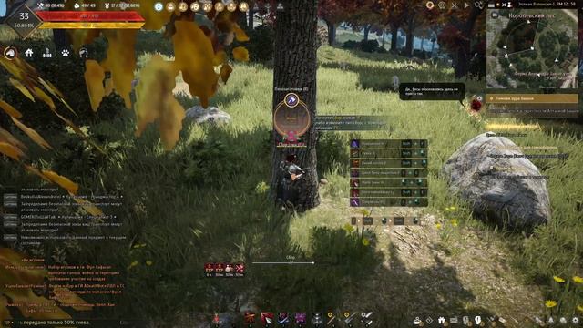 Black Desert game - BDO четвертая часть | by igrom смотреть онлайн