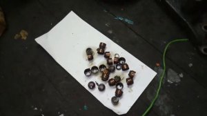 Suzuki Grand Vitara 2.5V6, замена маслосьемных колпачков(сальников)+ комплект цепей.