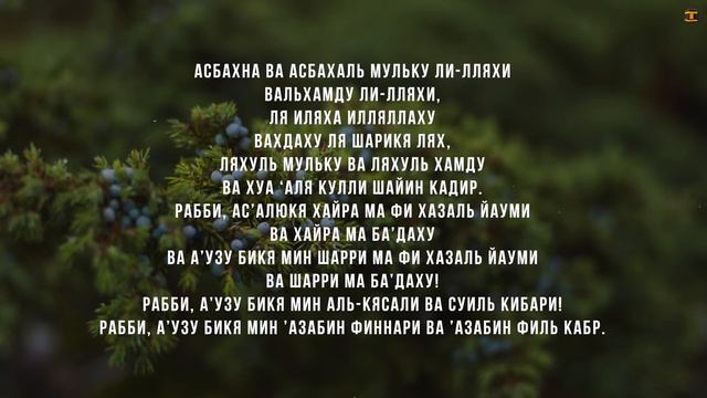 Дуа на каждое утро - дуа утром | дуа утром на работу