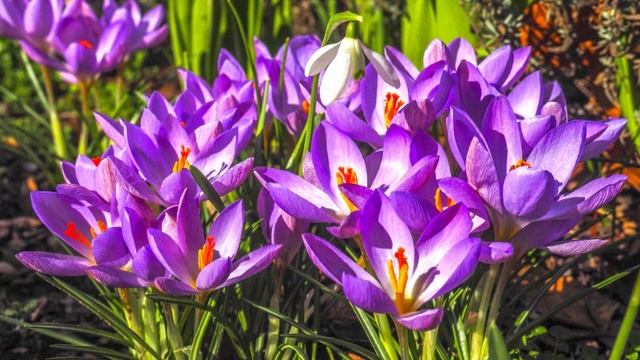 Этапы трансформации бессознательных реакций. Практики.