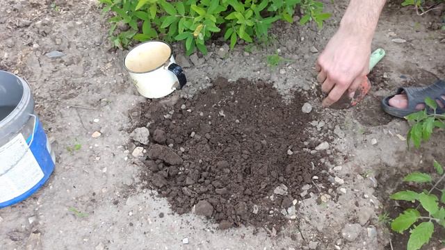 РАЗМНОЖЕНИЕ ЖИМОЛОСТИ смотреть онлайн