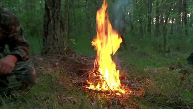 Как защититься от комаров в лесу ( How to protect yourself from mosquitoes in the forest ) смотреть онлайн