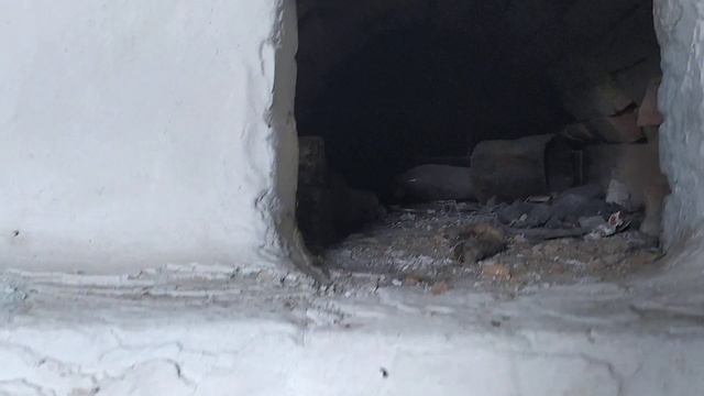 Заброшенная деревня вблизи г. Семей. смотреть онлайн