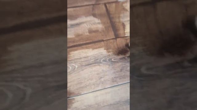 Плитка затирка под цвет смотреть онлайн