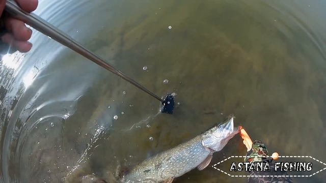 ДЕНЬ ШНУРКОВ НА НУРЕ!!!! РЫБАЛКА В АСТАНЕ! смотреть онлайн