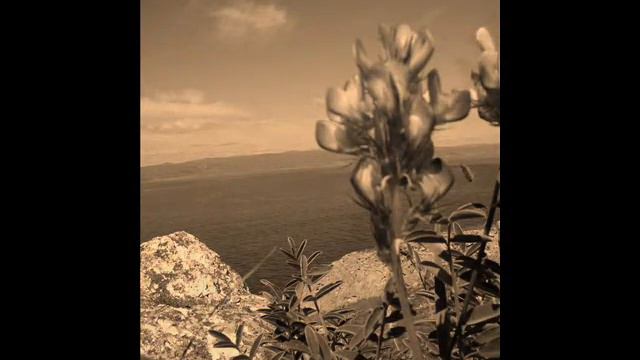 Zdies' khorocho - Здесь хорошо - Zdes khorosho смотреть онлайн