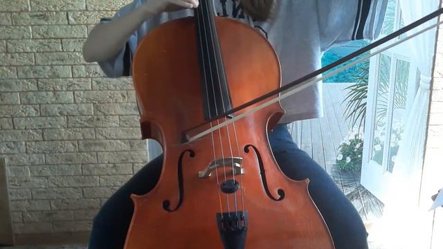 Оркестровые трудности (Брамс симфония 4) смотреть онлайн