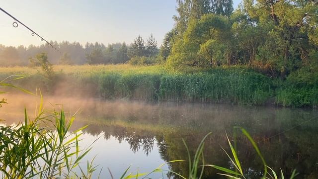 Деревня Life. "Вспоминая лето" смотреть онлайн