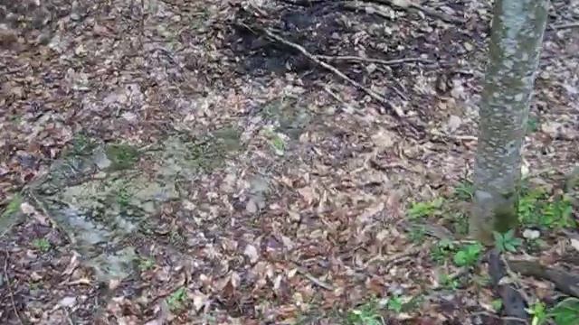 Родники горного Крыма 44 316176 смотреть онлайн