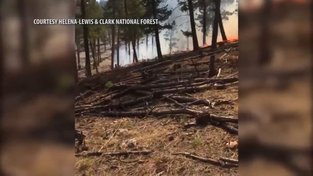 Prescribed Burning Planned for Helena-Lewis and Clark Forest смотреть онлайн
