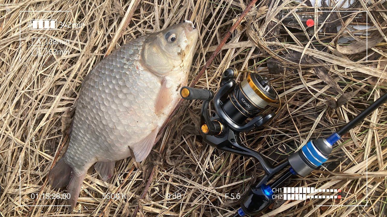 Разбудил спящего Хозяина канавы! Он не смог устоять перед этой приманкой! смотреть онлайн