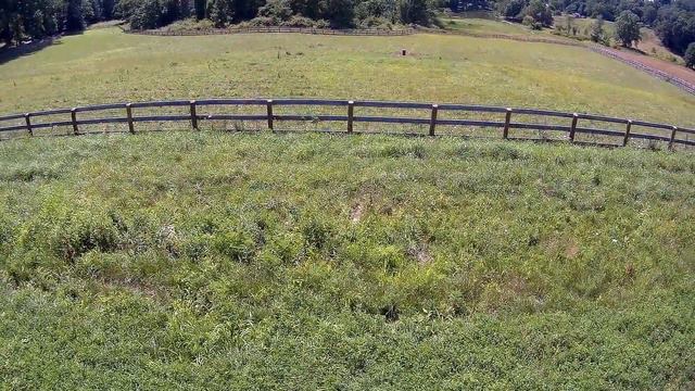 Windy flight xk detect x380 flying with cows смотреть онлайн