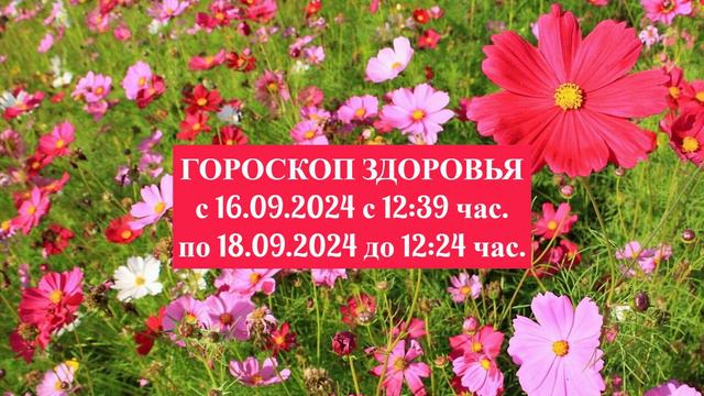 "ГОРОСКОП ЗДОРОВЬЯ с 16 по 18 СЕНТЯБРЯ 2024 года!!!" смотреть онлайн