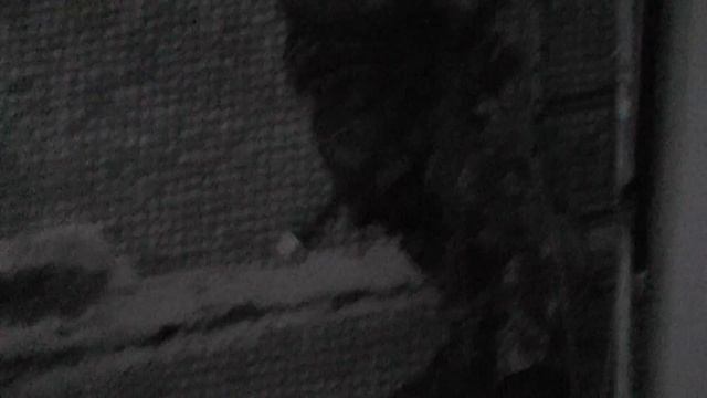 жилой дом сдали в аренду операторам связи смотреть онлайн