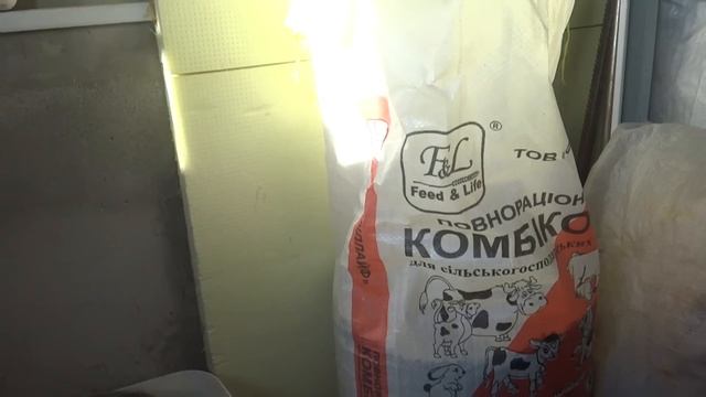 Hranirea iepurilor cu granule смотреть онлайн