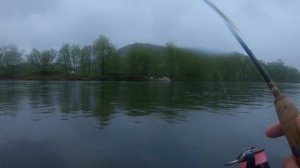 Сима, сима и опять сима.