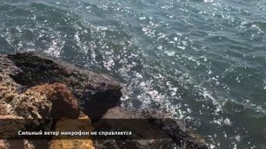 Yasmin Bodrum Resort #1