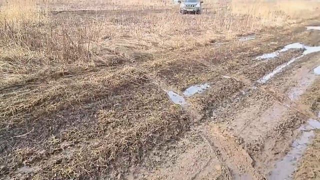 Заворово - Русское поле 2014. смотреть онлайн