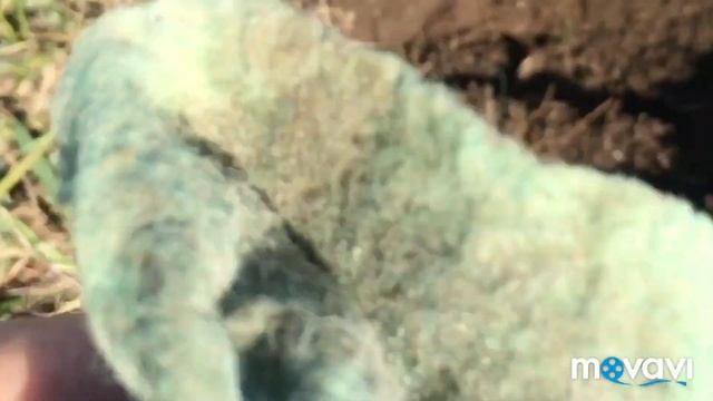 ОЧЕРЕДНОЙ ВЫЕЗД НА ПОКОПУШКИ С XP ORX-X-35 смотреть онлайн