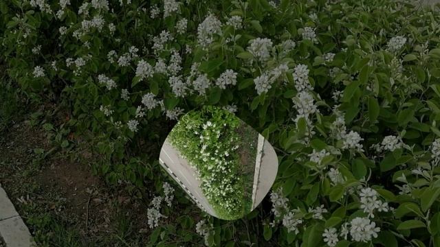 Весенние зарисовки..mp4 смотреть онлайн
